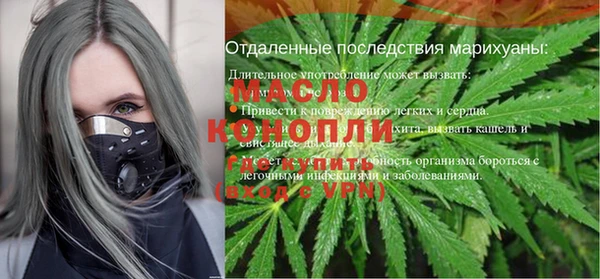 таблы Бородино