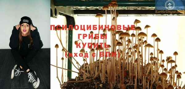 таблы Бородино